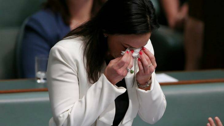 "Sadly, the wheel of domestic violence continues to affect my life as a grown woman": Labor MP Emma Husar in Parliament on Wednesday. Photo: Alex Ellinghausen