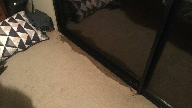Water leaks through defective sliding door during high winds. Photo: Supplied