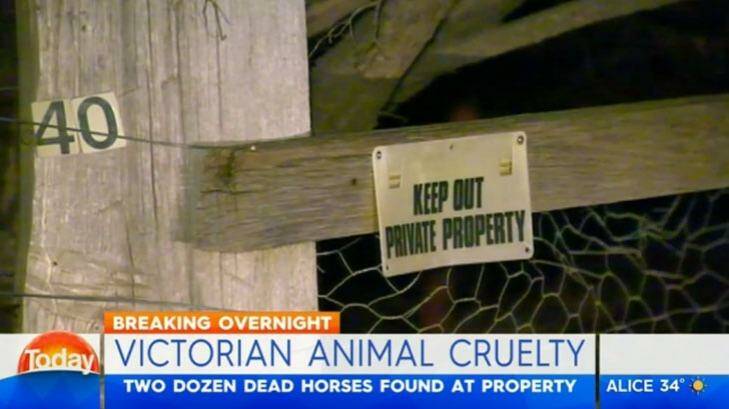 The front gate of the property where 22 dead horses were found on Sunday afternoon. Photo: Courtesy of Nine News.