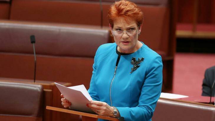 In her first speech in the Senate last week, Pauline Hanson said Australia was in danger of being "swamped" by Muslims. Photo: Alex Ellinghausen