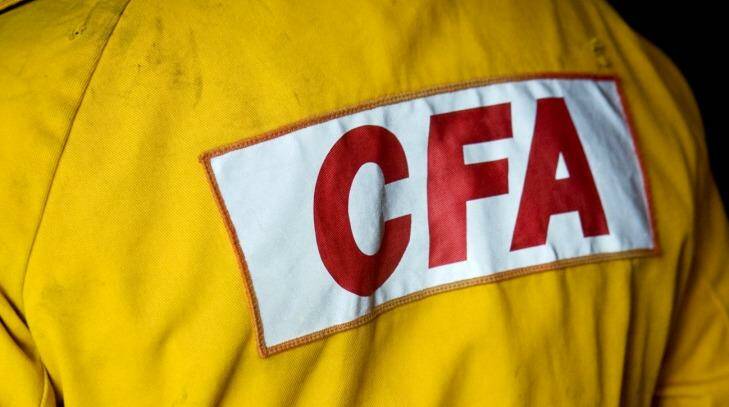 CFA Chief Officer Joe Buffone urged all members to look after each other. Photo: Jessica Shapiro
