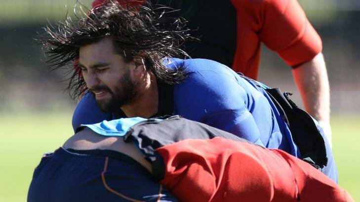 Ripping in: Waratahs forward Jacques Potgieter crashes into a teammate at training during the week.  Photo: Brendan Esposito