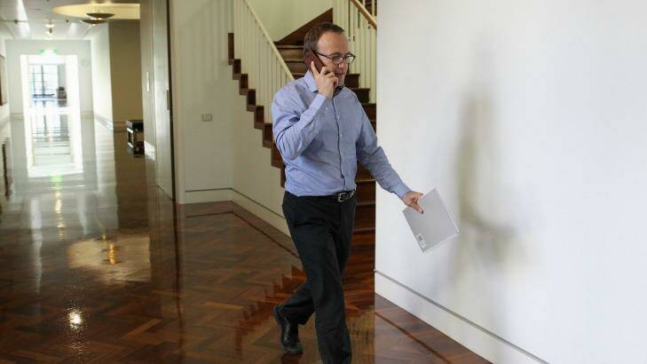Deputy Greens leader Adam Bandt ahead of the Greens partyroom leadership ballot, at Parliament House in Canberra on Wednesday. Photo: Alex Ellinghausen