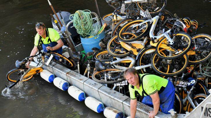 Contractors paid by O bike to collect their bicycles from the Yarra. They collected near 40 bikes. 26th September 2017 Fairfax Media The Age news Picture by Joe Armao
