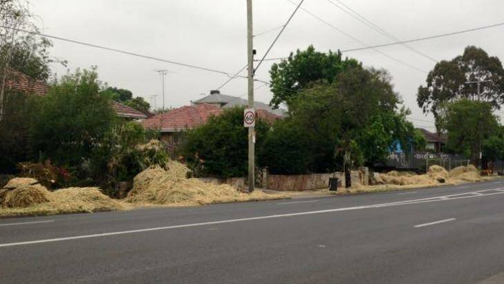 Hay spilled by a truck on Rosanna Road.  Photo: Supplied