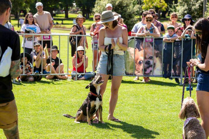 Family friendly NYE event at Edinburgh Gardens, North Fitzroy featuring dog shows and awards, food trucks, and an outdoor cinema. North Fitzroy, Melbourne. December 31st 2017. Photo: Daniel Pockett