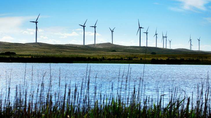 The dissenting report says Australia needs 65 per cent renewable energy by 2030.  Photo: Jessica Shapiro 