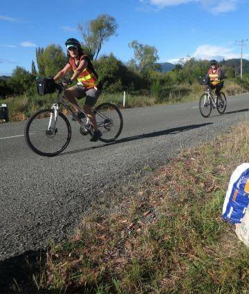Horsing around: Happy horse poo for sale at the side of the road en route to Motueka. Photo: Rob McFarland