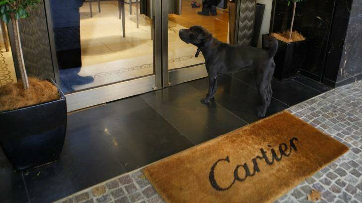 Every shopper (and their dog) is looking forward to the arrival of new luxury retailers like Cartier. Photo: Michele Mossop