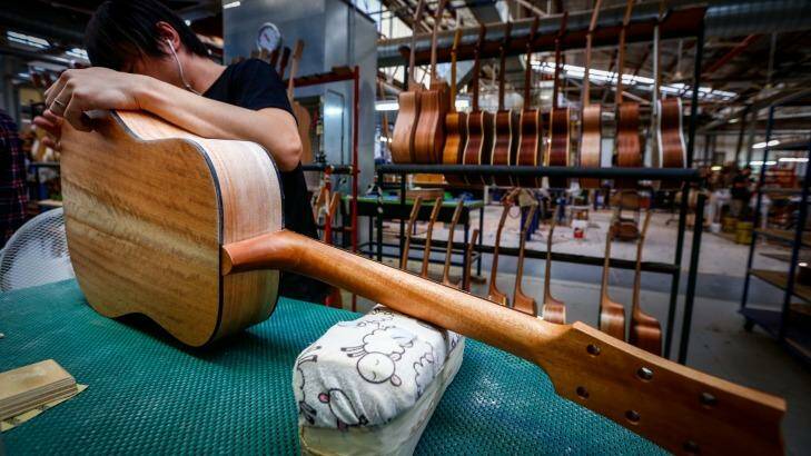 Worker making a new guitar at Maton Guitars factory in Box Hill. Photo: Eddie Jim