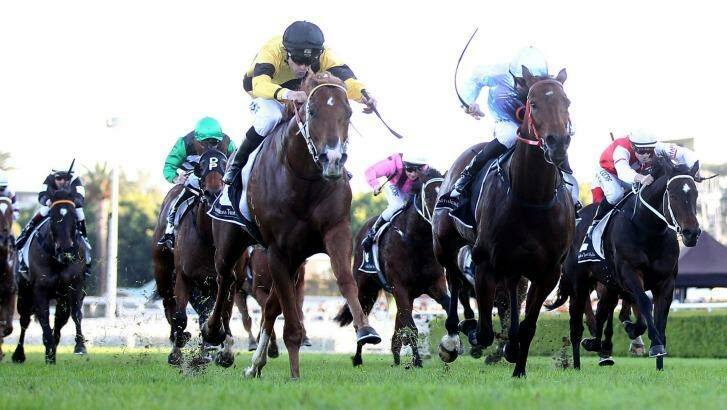 Serious contender: Wouldnt It Be Nice wins the June Stakes at Randwick last year. Photo: Anthony Johnson