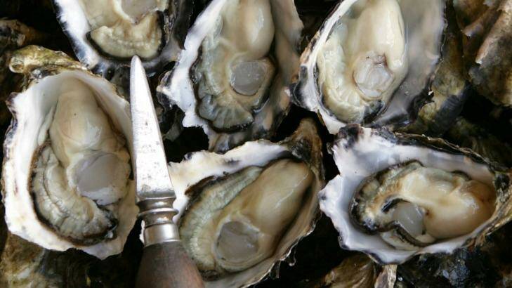 Pacific oysters have been rocked by Pacific Oyster Mortality Syndrome. Photo: Marco Del Grande MDG