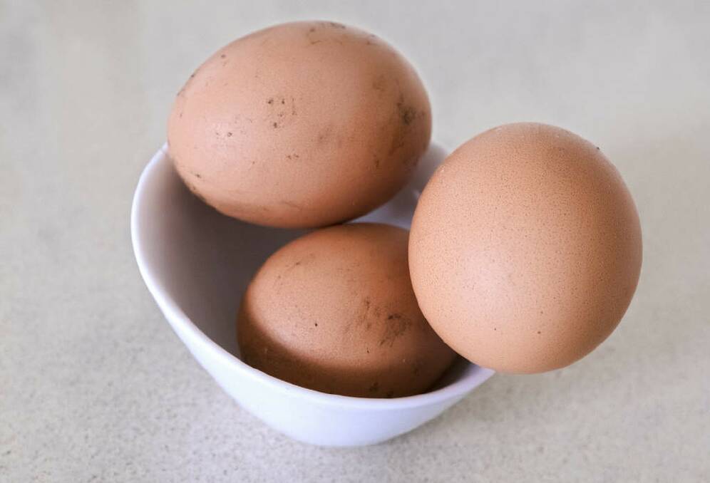 Eggs from Creswell's farm. Photo: Luis Ascui