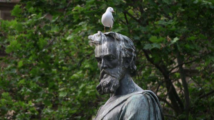 The Burke and Wills statue on City Square appears to be a popular landing point for seagulls. Photo: Leigh Henningham