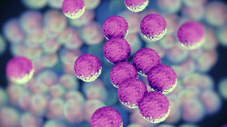 An 18-month review into antimicrobial resistance warns that superbugs will kill more people than cancer kills if left unchecked. Photo: Jamie Smetkowski