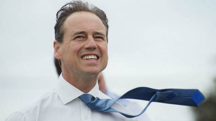 Federal Environment Minister Greg Hunt says  "emerging" wind power such as new turbines or offshore wind farms may be eligible for funding from the Clean Energy Finance Corporation. Photo: Christopher Pearce