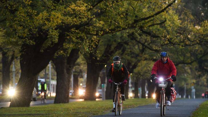 Cyclist  are seen riding down Royal Park in the cold conditions this morning on the last day of autumn Photo: Vince Caligiuri