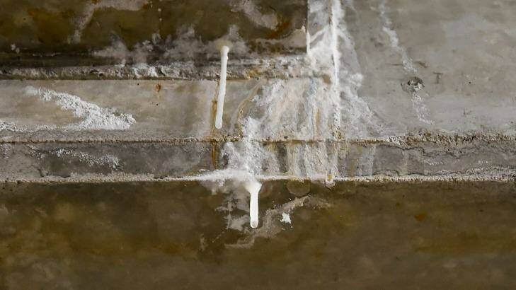 Stalactites growing in a basement of an apartment complex in Melbourne. Photo: Justin McManus