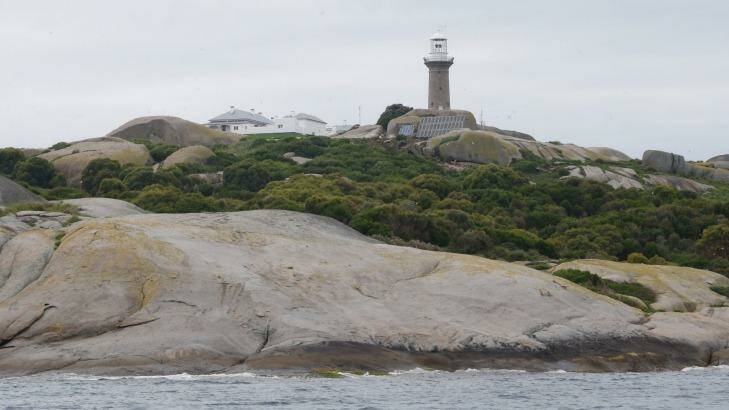 Montague Island is a critical sea bird breeding ground.  Photo: Peter Rae
