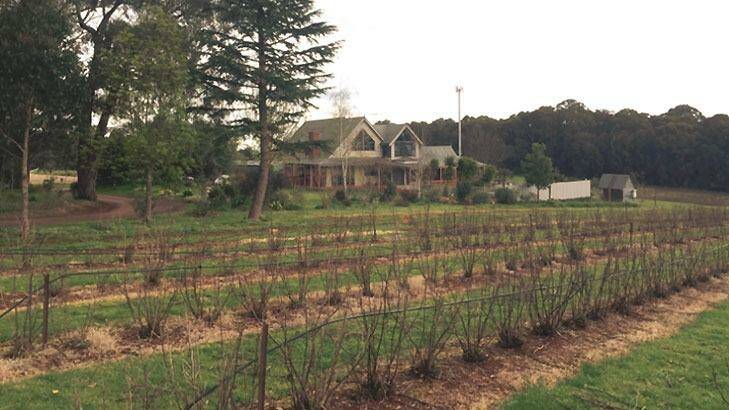 The Tromp family's home, and currant farm in Silvan.   Photo: Tom Cowie