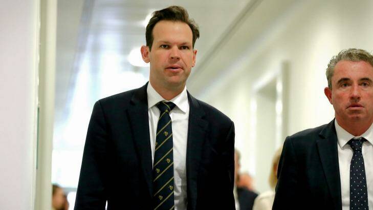 Resources Minister Matt Canavan in December accused the ABC of broadcasting fake news. Photo: Alex Ellinghausen