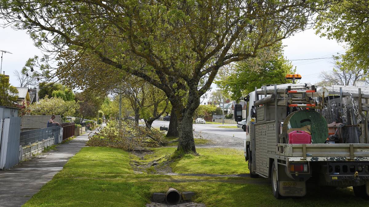 WIND DAMAGE: A tree branch brought down a power line in South Street, Ballarat Central. Picture: Luka Kauzlaric   