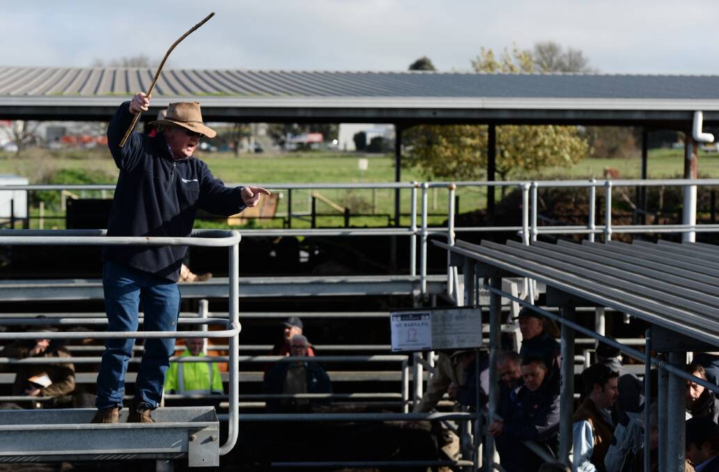 New  saleyards  have  lots  of  boxes  to  tick  before  being  built