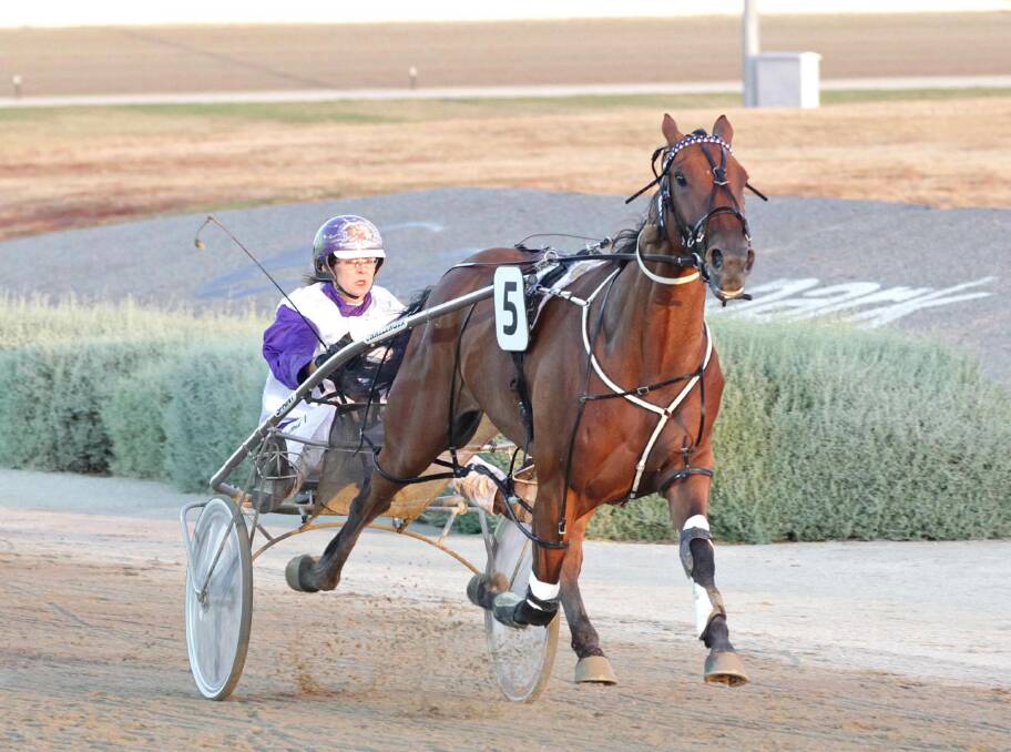 It Is Billy, driven by Anne-Maree Conroy  lines up in the group 2 $50,000 4yo and 5yo Championship at Melton on Friday.