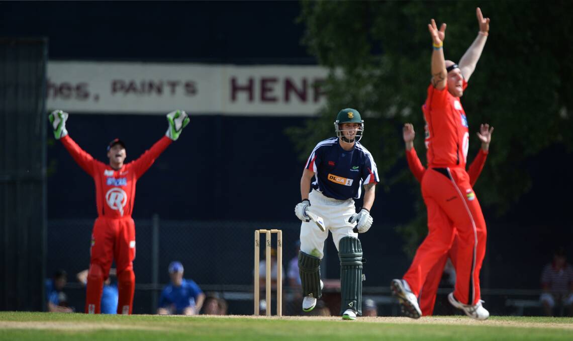 Pumped: Melbourne Renegades players celebrate a wicket at a pre-competition practice match in Ballarat last year.  
PICTURE: ADAM TRAFFORD