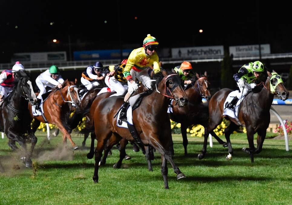 Fresh talent: Glenn Boss on Lucky Hussler at Moonee Valley Racecourse. Lucky Hustler has emerged as a top stakes contender. Picture: Getty Images