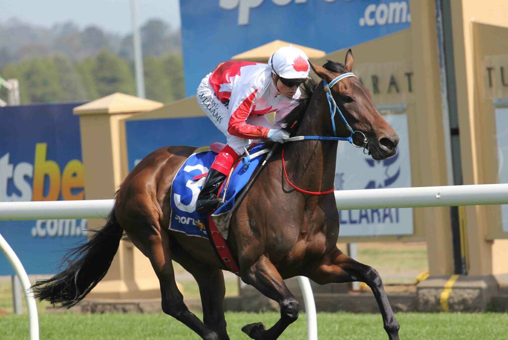 Impressive stayer: Craig Williams and Zakayla cruise to an easy win. Picture: Tim O’Connor