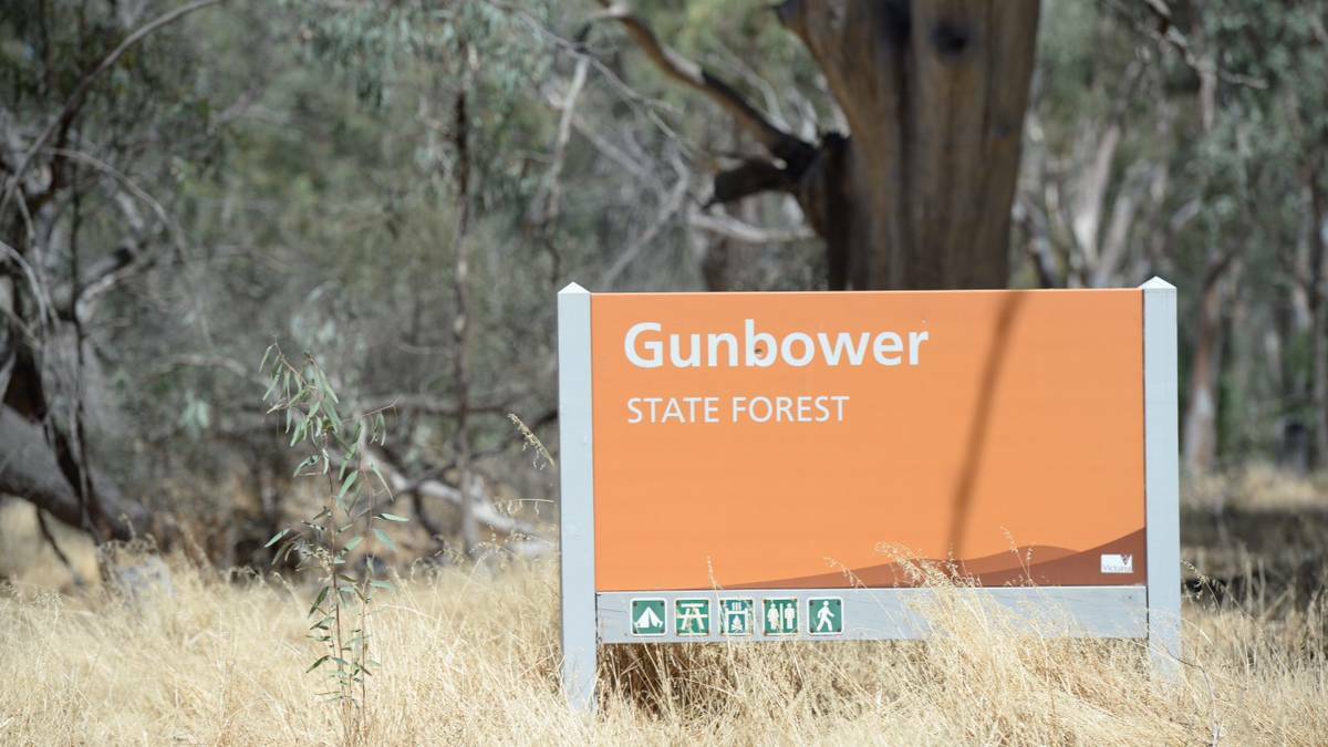 Search continues: A six-year-old boy who had been camping with his family at Gunbower Island forest, near Koondrook, was swept into the Murray River on Saturday.