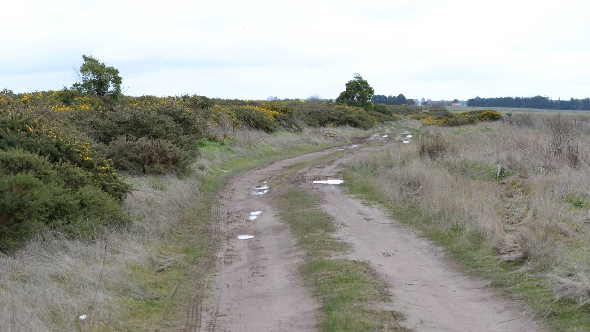 The area where two people died in their car at Cardigan.