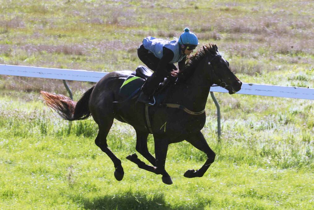 Ready to race: Nikita Beriman aboard Tuscan Fire at Burrumbeet last month. PICTURE: TIM O’CONNOR