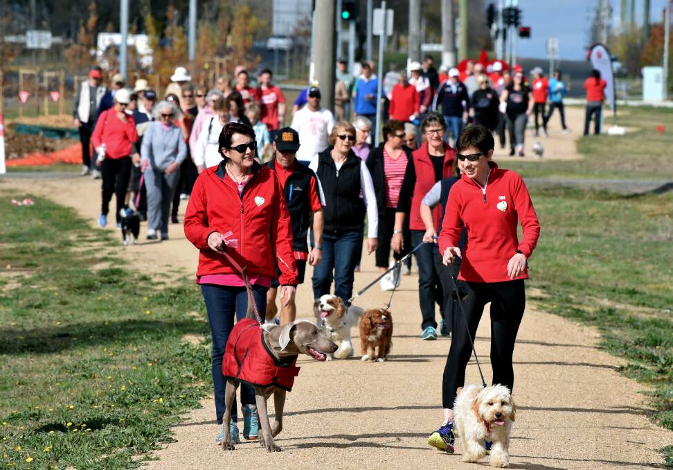 BIG WALK: Lynne Martin, Maureen Parlange and their dogs lead the Heart Health Week walk off from Ballarat Community Health. 
PICTURE: JEREMY BANNISTER