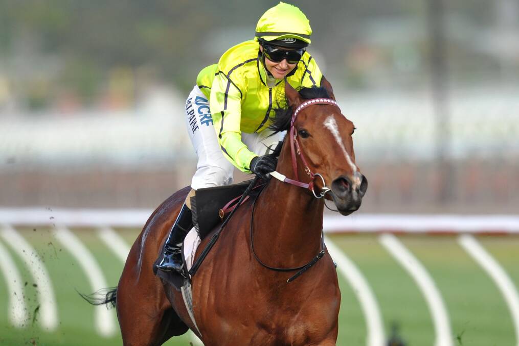 Adelaide target: Platelet returns at Moonee Valley on Friday night.
PICTURE: Getty Images