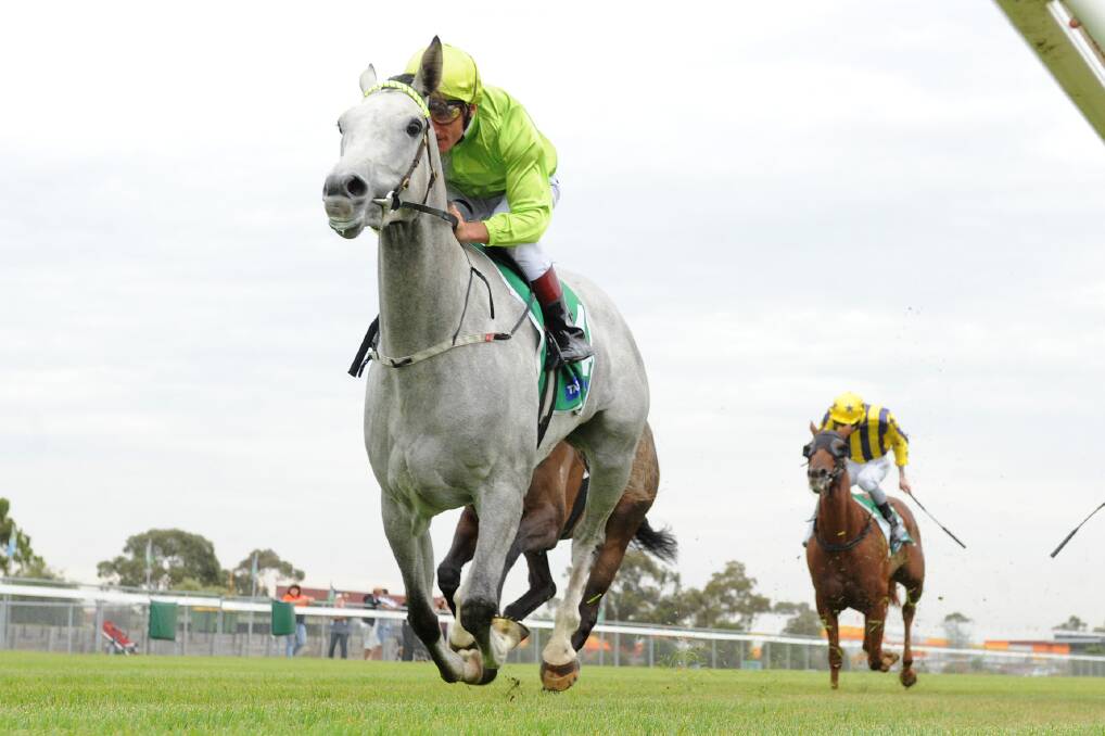 Stepping up: Bahamas (Damien Oliver) cruises home for her maiden win at Werribee. PICTURE: SLICKPIX
