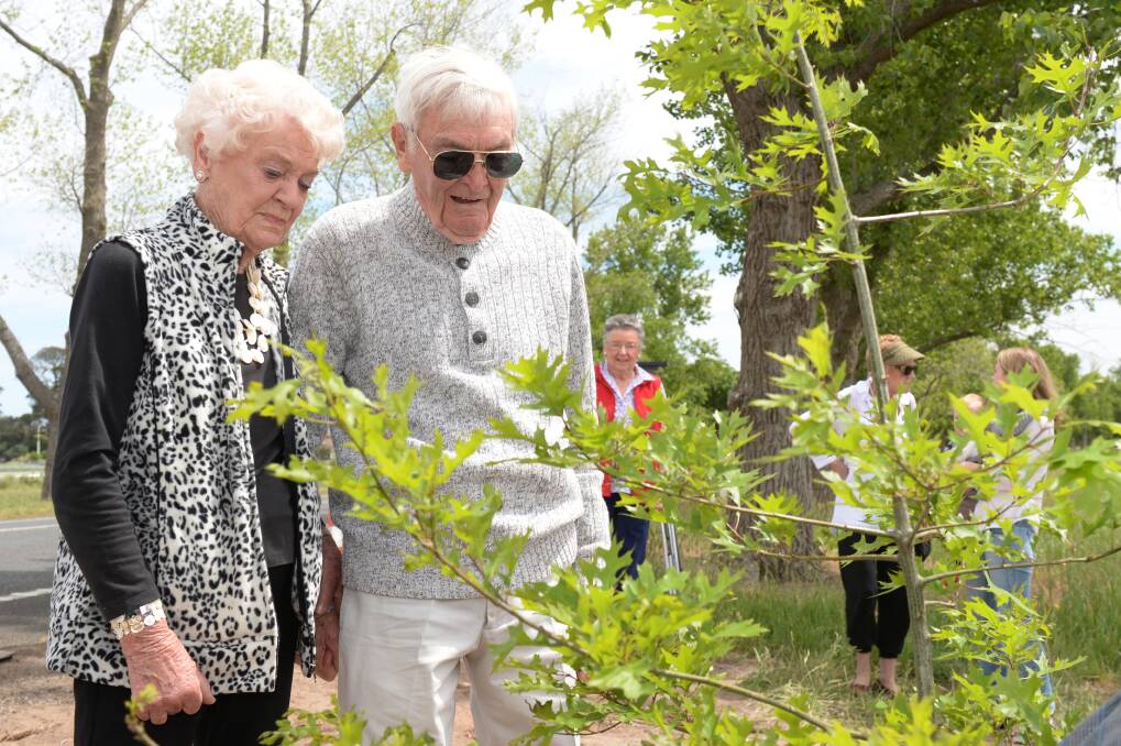 In remembrance: Eloise Atkinson, 85, and Bill Prowse, 90, admire their father’s new tree in the Avenue of Honour. PICTURE: KATE HEALY
