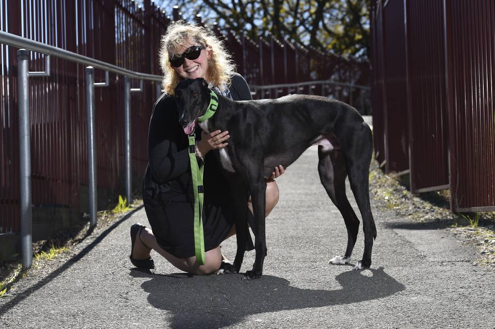 Second chance: Karen Robinson with Archie, who she adopted through Greyhound Racing Victoria. PICTURE: JUSTIN WHITELOCK