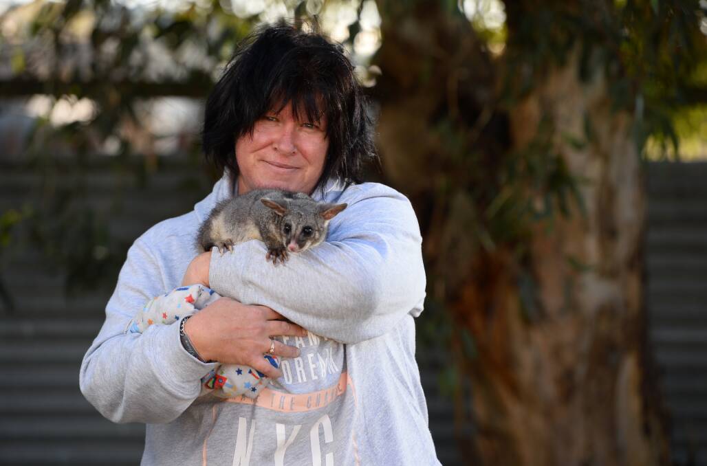 ASSISTANCE: Sharon Hinchliffe, of Possum Paws Wildlife Shelter, pictured with Kirby the brushtail possum. Ms Hinchcliffe needs donations to help the shelter provide for more animals. PICTURE: ADAM TRAFFORD