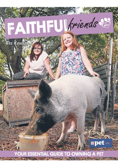 Faithful Friends 2014