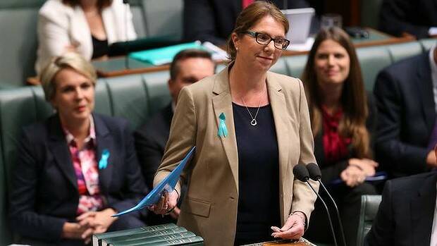 Ballarat MP Catherine King in parliament. PHOTO: ANDREW MEARES
