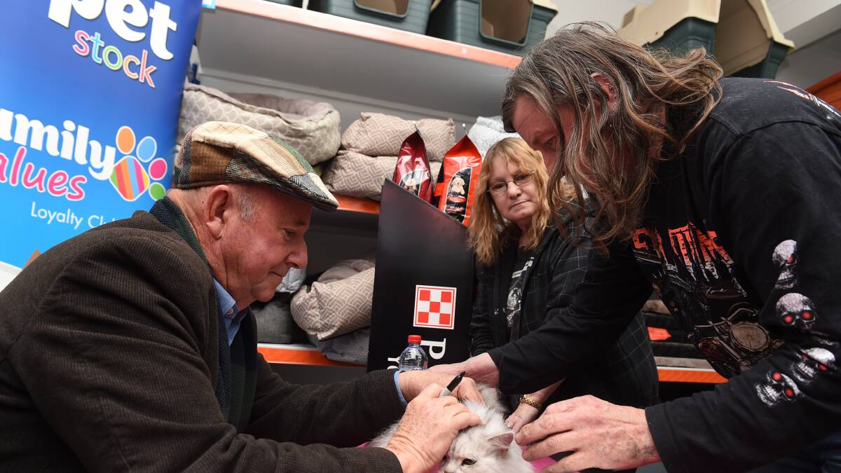 Dr Harry Cooper helping a cat recover from being starstruck at PETStock on Saturday.  Picture: LACHLAN BENCE

autographing his biggest fans at PetStock on Saturday