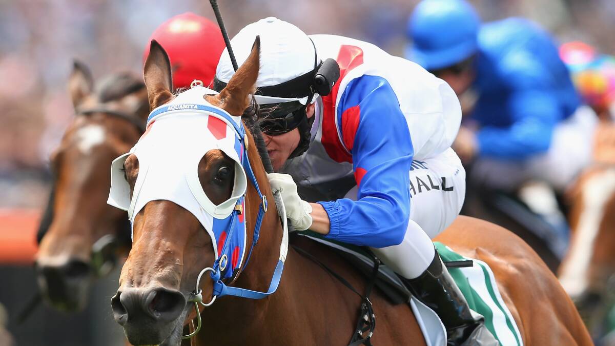 Lumosty (Nick Hall) salutes at Moonee Valley for Robert Smerdon. Photo: Getty Images