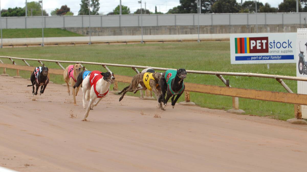 Ballarat Greyhound Racing Club 