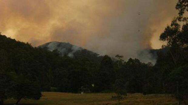 Fires across Victoria. Photo: Environment East Gippsland Facebook page.