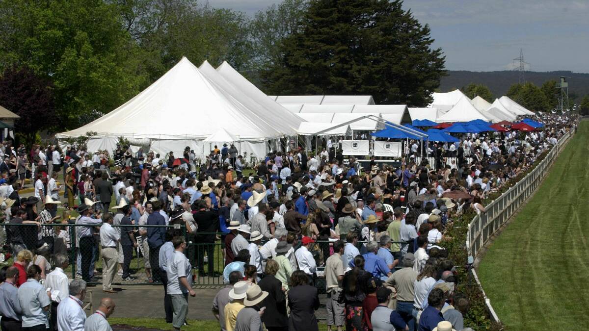 A massive crowd packed Dowling Forest for the 2003 Ballarat Cup