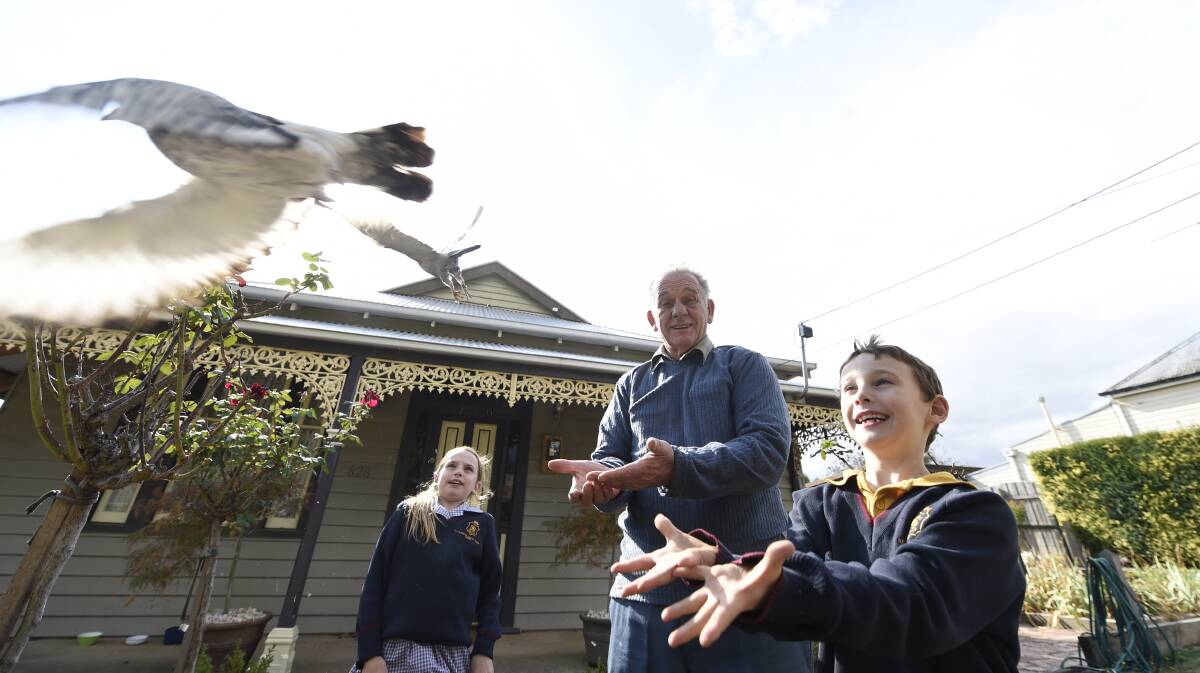 Amalee Eden, Reg Eden, Declan Eden display pigeons at the Ballarat Rural Lifestyle Expo. Picture: Justin Whitelock