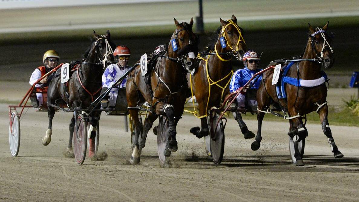 Just four runners in the Ballarat Pacing Cup.