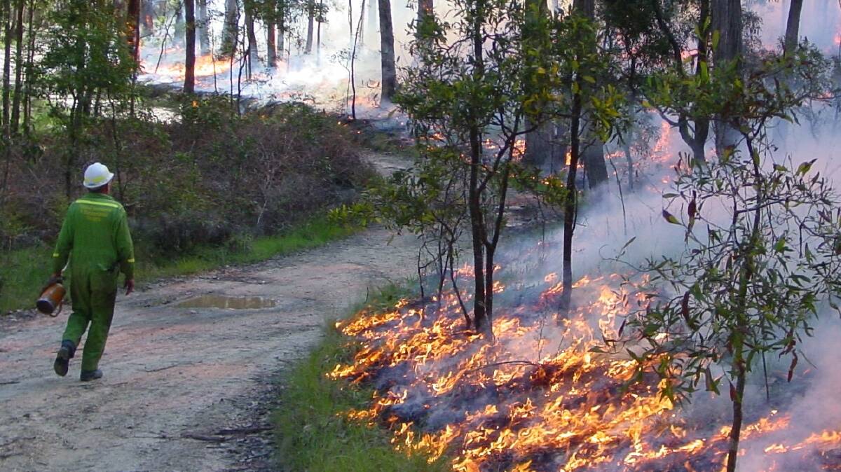 The Department of Environment and Primary Industries has issued advice on planned burns today in the Daylesford, Macedon, Blackwood, Greendale and Trentham areas.